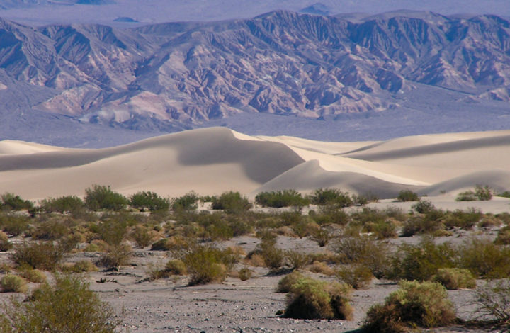 Death Valley - písečné duny