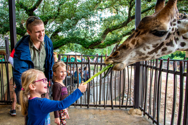 Houston ZOO - děti krmí žirafu