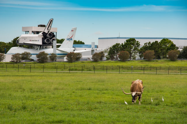 NASA JSC - dlouhorohá kráva a raketoplán