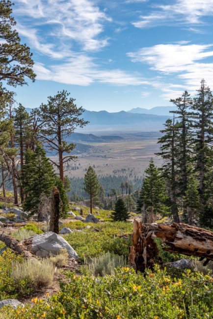 Po cestě dolu - Mammoth Lakes