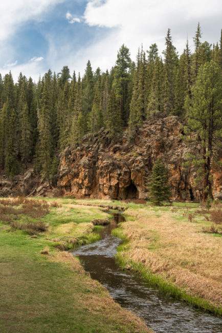 Procházka lesem kolem potůčku - Jemez Mountains