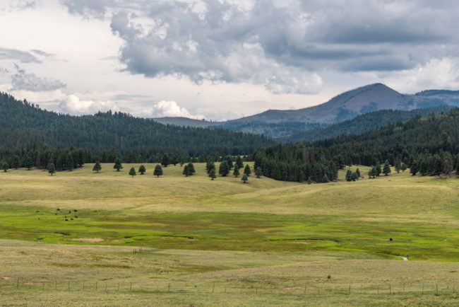 Zelené kopečky a údolí - Valles Caldera